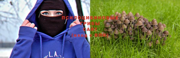 гидропоника Арсеньев