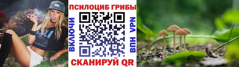 продажа наркотиков  Уяр  Галлюциногенные грибы GOLDEN TEACHER 